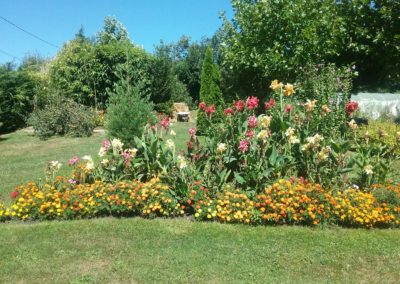 un massif avec plein de fleurs
