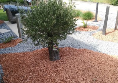un massif avec un arbre